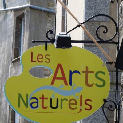 Les arts naturels (peintures et décoration) - Saint Malo